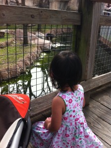 At the Ft. Worth Zoo