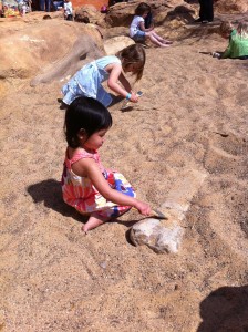 Digging for dinosaur bones