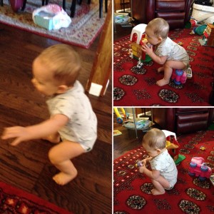 Jack working on standing!